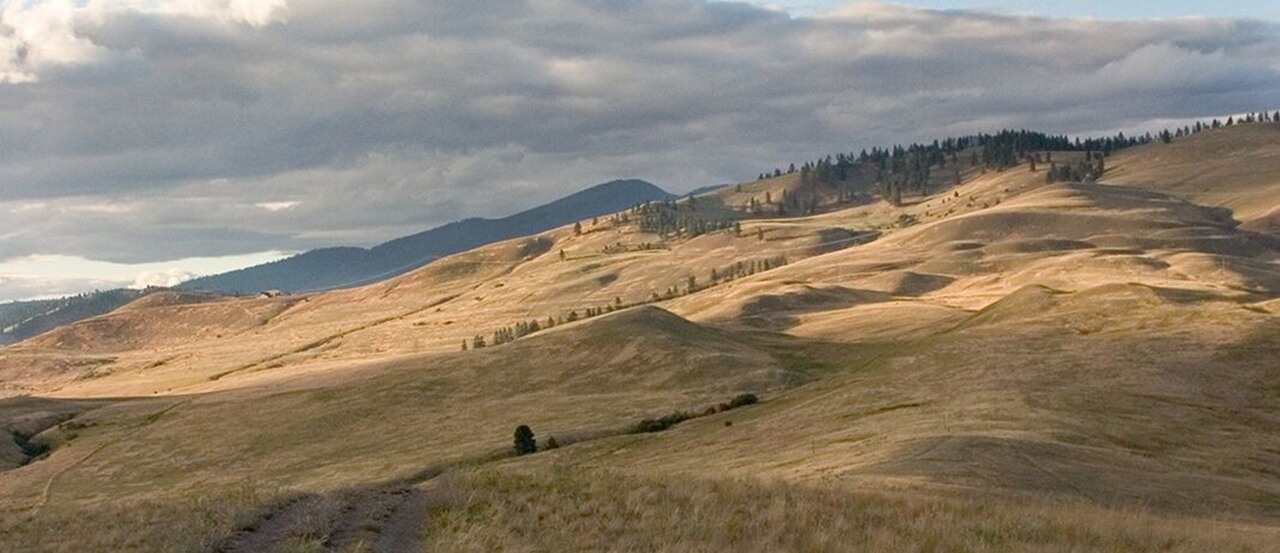 Montana Trail